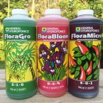 Hydroponic nutrients
