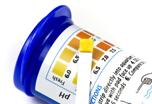 Litmus pH test strips to measure pH Litmus pH test strips