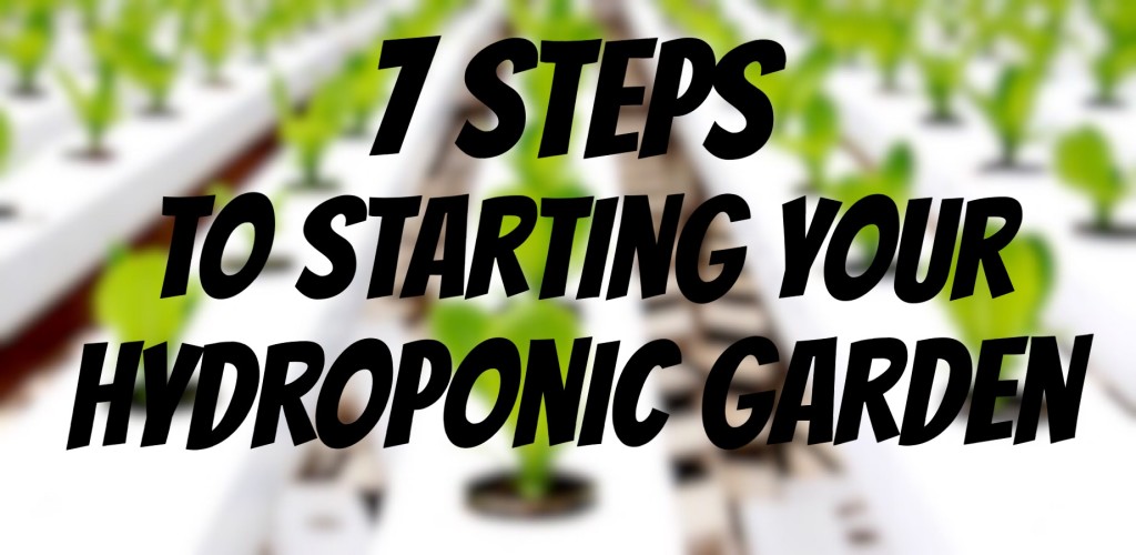 How To Start A Hydroponic Garden In 7 Steps