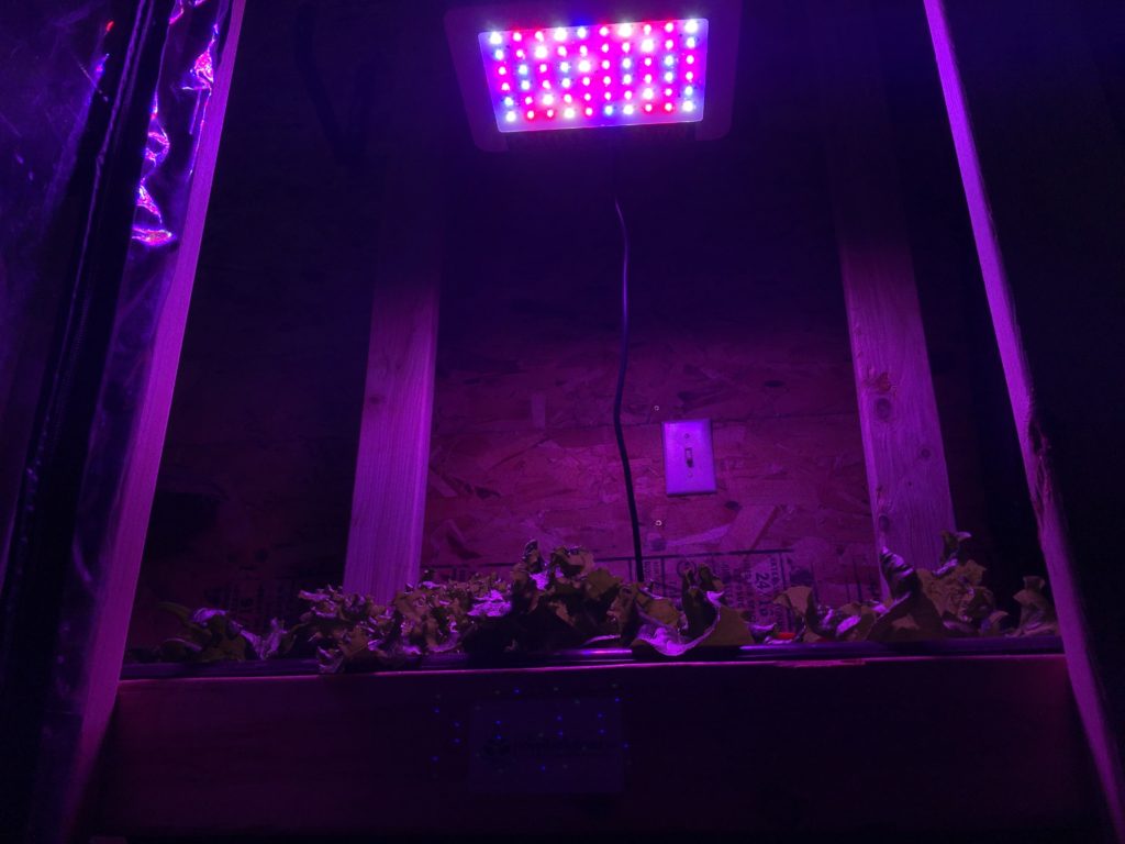 MarsHydro 300 watt LED grow light