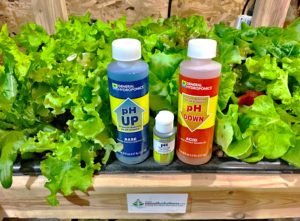 Best ph range for hydroponic garden
