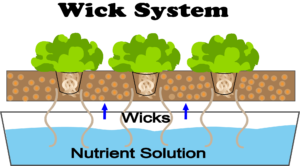Wick hydroponic system