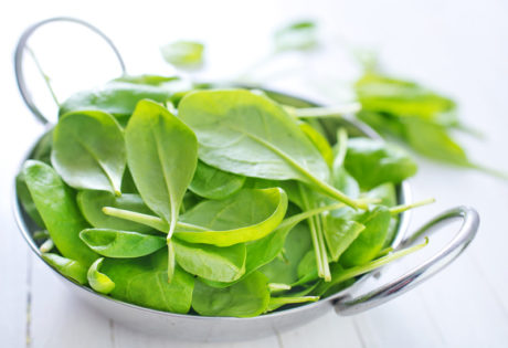 hydroponic spinach