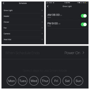 Geeni app schedule