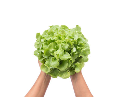hydroponics can save you during a crisis.
