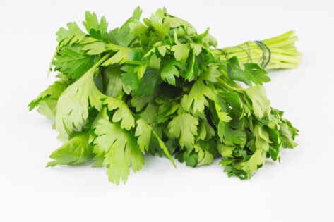 hydroponic parsley