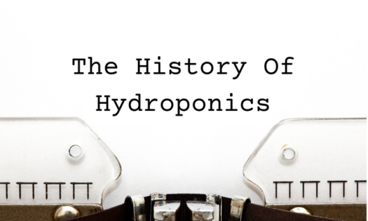 history of hydroponics