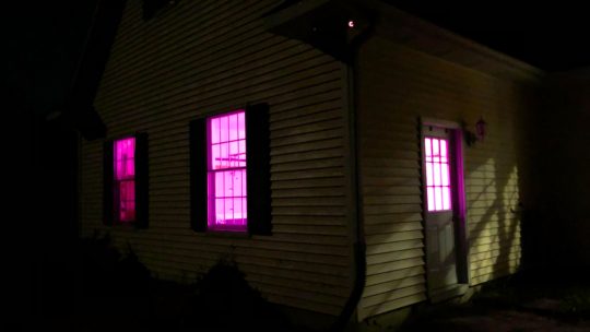 Why I Had to get a grow tent