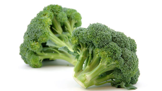 How To Grow Hydroponic Broccoli