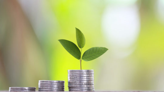 what is the cost to start a hydroponic garden
