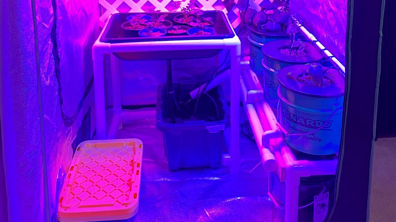 Hydroponic grow tent setup