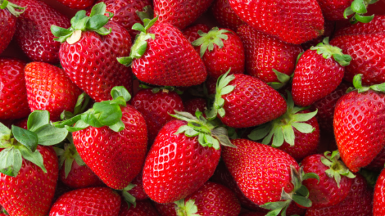 How To Choose The Best Strawberry Variety For Your Hydroponic Garden