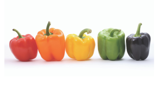 My Top Bell Pepper Varieties for Hydroponic Gardens